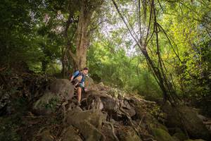 BIB: 
                            <button type="button" onclick="openModal(13718295)" class="btn btn-primary btn-sm float-right btn-popup" data-toggle="modal" data-target=".modal-high-quality">
                        <i class="fas fa-shopping-cart"></i> Add to Cart
                    </button>
                                            <button type="button" onclick="isThisMe(13718295, true)" class="btn btn-success btn-sm float-right btn-popup btn-isme hidden" data-toggle="tooltip" data-placement="bottom" title="นี่คือรูปของคุณใช่ไหม คลิกที่นี่เพื่อเอาเข้าอัลบั้ม">
                        <i class="fas fa-plus"></i> Add to album
                    </button>
                    <button type="button" onclick="isThisMe(13718295, false)" class="btn btn-warning btn-sm float-right btn-popup btn-isnotme hidden">
                        <i class="fas fa-ban"></i> Remove from album
                    </button>